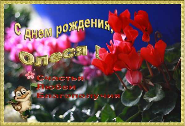 Прикольное поздравление с днем рождение олесе