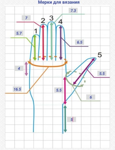Мерки для вязания перчаток